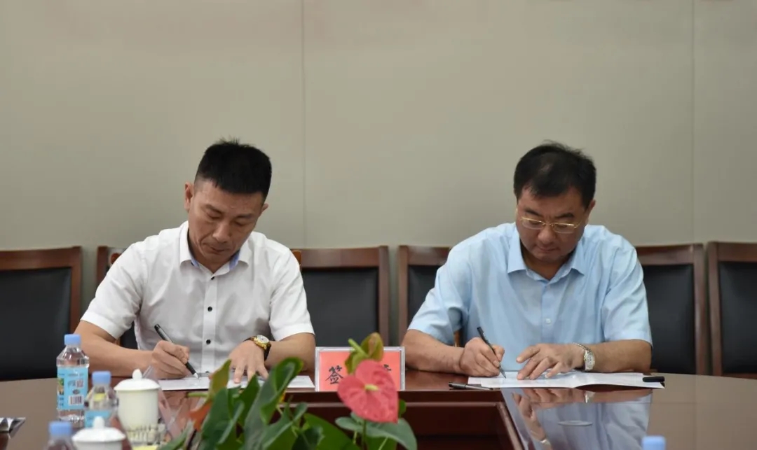 63.webp.jpg 63.webp.jpg